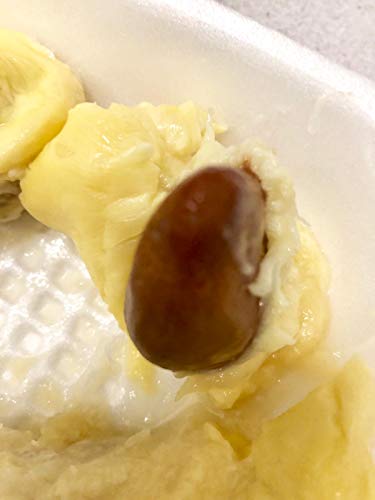 Frozen Durian Monthong - 21oz (Pack of 1)