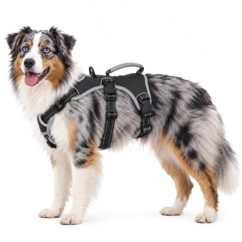 Huntboo Escape Proof Dog Harness Dachshund Harness