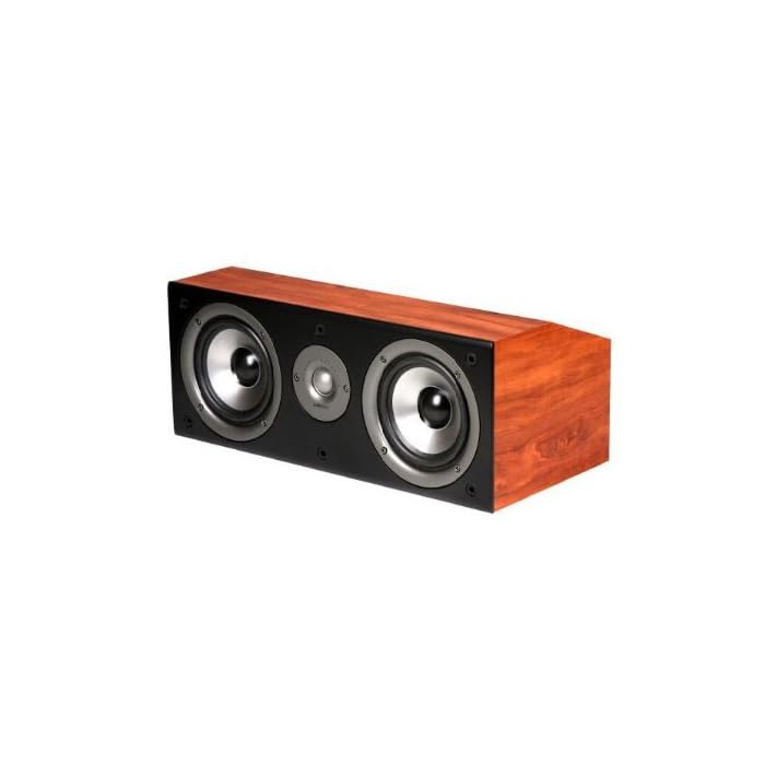 Buy Polk Audio AM2182-A CS2 Series II 