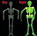 Halloween 5 Ft Skeleton Luminous Glow-in-The-Dark Skeleton for Halloween Party Bar Wall Sticker Decorations Outdoor Yard Garden Hanging Ornaments Props (5ft Skeleton)