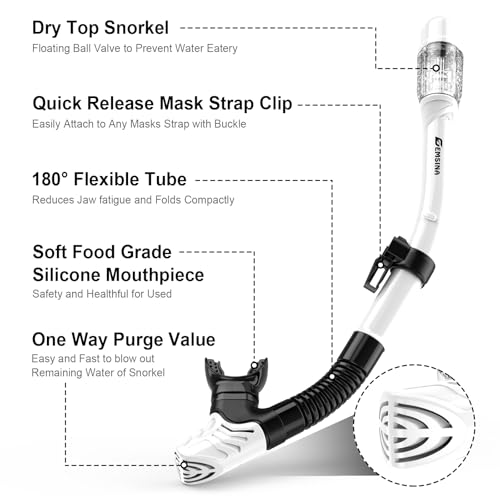 EMSINA Mask Fin Snorkel Set with Adult Snorkeling Gear, Panoramic View Diving Mask, Trek Fin, Dry Top Snorkel +Travel Bags, Snorkel for Lap Swimming
