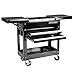 Craftsman Tool Box Cart, 350 Lb Large Capacity, Steel Sliding Drawer, Black
