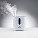 BONECO U300 Large Room Whisper Quiet Cool Mist Ultrasonic Humidifier with 2 in 1 Water Filter, Low Level Indicator Light, and Auto Shutoff, White