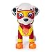 Characters Apparel PAW Patrol Mighty Pups Special Edition Figures with Light-up Badge and Paws, Marshall and Chase Bundle