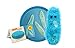 GIANT MICROBES Paramecium Caudatum Plush