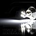 TGP T10 White 4 LED SMD License Plate Wedge Light Bulbs Pair 1990-2014 Compatible with Honda Accord (ALL Models)