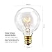Zitrades G40 Bulbs Clear Glass Globe Bulbs for Outdoor String Lights E12 Base, Pack of 25