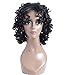 Synthetic Afro Curly Hair Wigs for Black Woman Short Kinky Hair Jet Black Heat Resistance Fiber 14