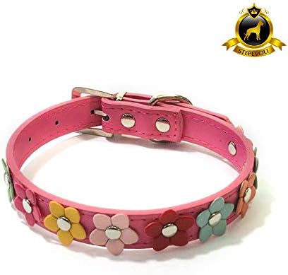 Stepevoli Dog Collar with Petite Flowers - Comes in Fuchsia Colour and C2 Size