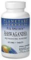 Planetary Herbals Full Spectrum Ashwagandha 570 mg Tablets, 480 Tablets