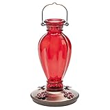 Perky Pet 8133-2 Daisy Vase Vintage Glass Hummingbird Feeder