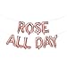 Rose All Day Balloons | Rose All Day Banner | Rose All Day Decorations for Bridal Shower, Birthday Party, Bachelorette Party, Brosé Party, Housewarming | Rose Gold, 16inch