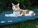 Mynwood Cat Jacket/Harness Caramel Adult Cat