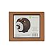 Enesco Football Piggy Bank, Ceramic, 4.25 inches, Brown