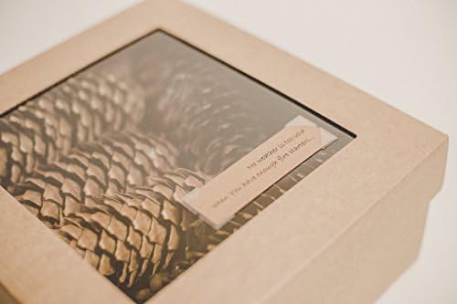 Fir Cone Fire Starter, Perfect Gift, Eco Friendly, Best Fire Starters, Wax Dipped Fir Cone, Wedding Favor, Eco Fire Starters, Handmade