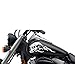 FGD Motorcycle Gas Tank Sweeping Skull Decal Set. 13