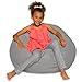 Posh Beanbags Big Comfy Bean Bag Chair: Posh Large Beanbag Chairs with Removable Cover for Kids, Teens and Adults - Polyester Cloth Puff Sack Lounger Furniture for All Ages - 27 Inch - Solid Gray