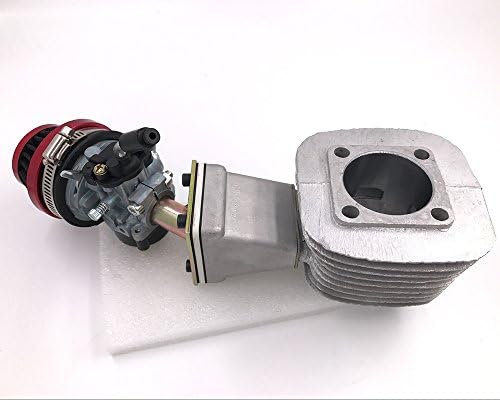 dolphin1986 Higher Performance Carburetor & Racing Reed Valve & Cylinder Assembly-for Gas Motorized Bicycle