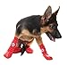 KOOLTAIL Dog Socks Anti Slip with Straps Traction Control Waterproof Paw Protector (Snow, M)