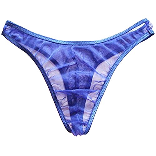 WenMei Men's Transparent gauze Underwear Sheer Pouch Thong G-string Brief (Blue)