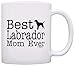 ThisWear Dog Lover Mug Best Labrador Lab Mom Ever Dog Puppy Supplies Gift 11oz Ceramic Coffee Mug with Handle