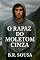 Livro O Rapaz do Moleton Cinza