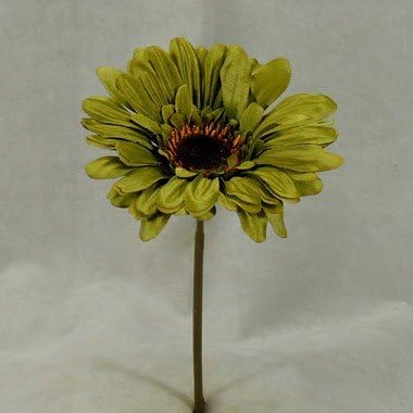 Inspired By Nature Package of 12 Realistic Rich Olive Green Artificial Polysilk Gerbera Daisy Stems for Decorating and Arranging