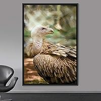 Framed Canvas Wall Art Single Bird Birds Expressive Farmhouse/Country Multicolor Photography Portrait Single - 16x24 inches