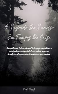 Livro O Segredo Do Sucesso Em Tempos De Crise: O Segredo Do Sucesso