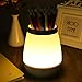 Dimmable LED Vase Table Lamp Touch Control 3 Levels Brightness Night Light for Baby Room Bedroom Living Room Meeting Room and Office Decorations Pen Pot Holder