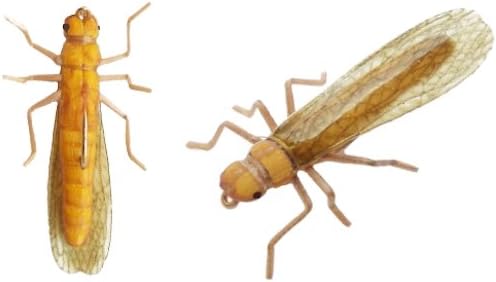 Synth Stonefly 2-Pack - Synthetic Fly Fishing Flies