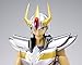 Saint Cloth Myth Phoenix Ikki Early Bronze Cloth Revival Edition