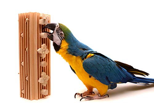 Activity Block – Large Parrot Toy