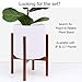 PEACH & PEBBLE 10 Inch White Ceramic Planter. Classic Cylinder Plant Pot for House Plants and Indoor Plants (Drainage + Stopper Included).