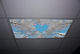 Forest Love Skypanels - Replacement Fluorescent Light Diffuser