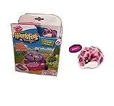 New Hamsters in a House ~ Scurry Car ~ Collectable Hamster ~ Poppy