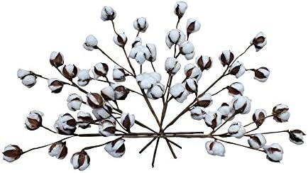 Cotton Stems (20 Inch, 6-Pack)
