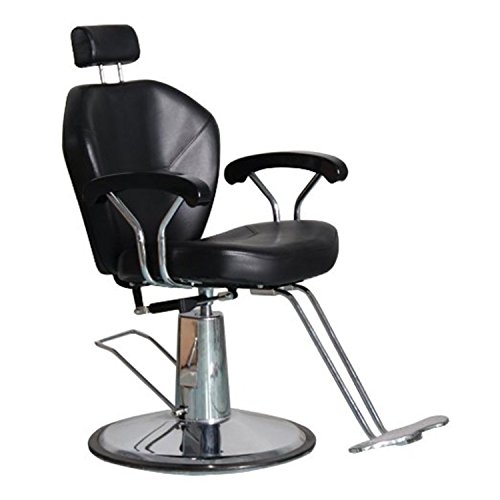 shengyu Hydraulic Reclining Barber Chair Salon Shampoo Beauty Spa Equipment (Black)