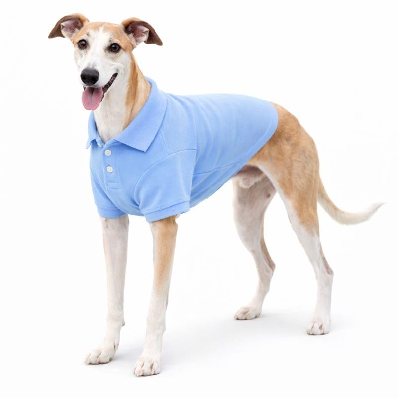lovelonglong Basic Dog Polo Shirts Premium Cotton, Polo T-Shirts for Large Medium Small Dogs with a Two-button Collar Blank Color Sky-blue XXL