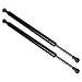 Maxpow Qty (2) Rear Glass Gas Charged Lift Support Struts For 2004-2010 Volk...