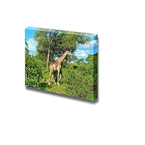 Canvas Prints Wall Art - Graceful Giraffe in African Savannah | Modern Wall Decor/Home Art Stretched Gallery Wraps Giclee Print & Wood Framed. Ready to Hang - 12" x 18"