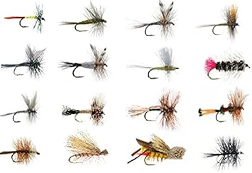 Amazon Com Feeder Creek Fly Fishing Assortment Wet And Dry