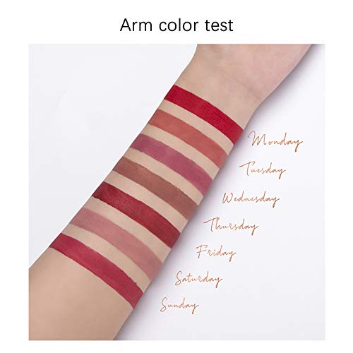 6pcs Matte Liquid Lipstick Waterproof Long-Lasting Lipstick Non-Sticky Formula,Gloss Kit Women Make Up Gift Set