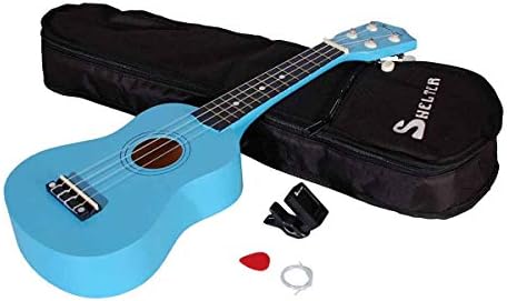 Guitarra shelter | Las mejores guitarras