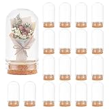 BENECREAT 20 Pack Glass Jars Bottles 9ml Dome