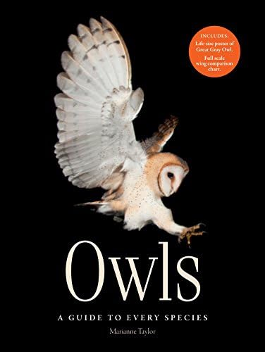 Owls: A guide to every species