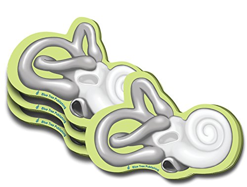 Cochlea Sticky Notes, 4 Packs-100 Sheets Per Pack