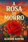 Livro A rosa do morro