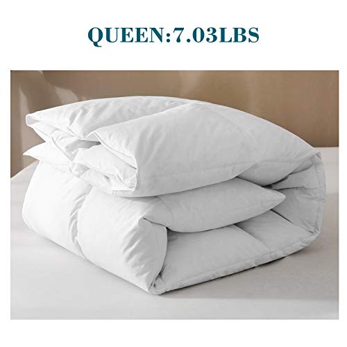 BPC Queen Size Down Comforter Goose Duck All Season Down Comforter