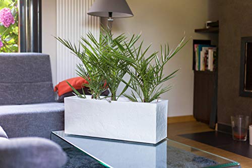 EDA Volcania Up Balkonkasten weiß gekalkt, 59 cm – Bild 4